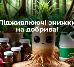 Где купить семена, саженцы и удобрения - обзор магазинов и интернет-ресурсов