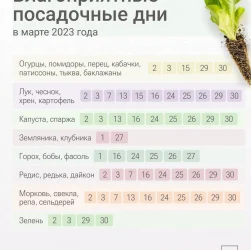 Календарь садовода и огородника - план работ на каждый месяц