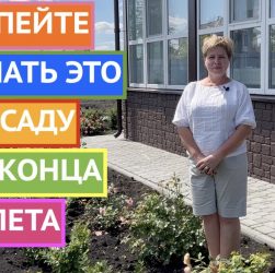 Летние работы в саду и огороде - полив, подкормка, защита от вредителей