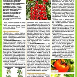 Мифы и заблуждения о садоводстве и огородничестве