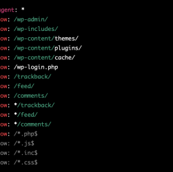 Оптимизация файла robotstxt для портала о путешествиях