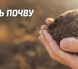 Подготовка почвы к посадке - перекопка, удобрение, улучшение структуры почвы