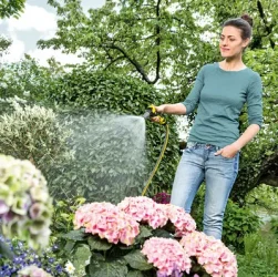 Полив сада и огорода - как правильно поливать растения