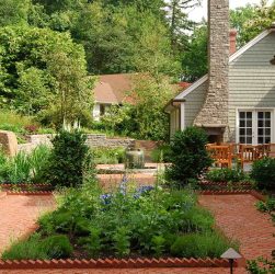 Сад для ленивых - как создать красивый сад, не требующий много времени на уход