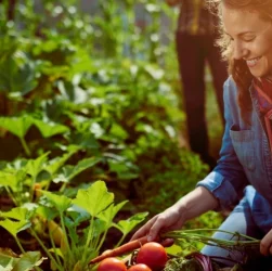 Сад и огород - вопросы и ответы от экспертов