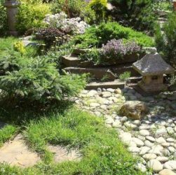 Сад на песчаной почве - выбор растений, хорошо растущих на песчаной почве