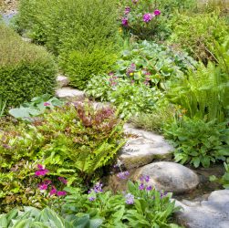 Сад на склоне - как укрепить склон и создать красивый сад