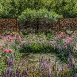 . Садовые выставки и фестивали - где узнать о новинках и получить вдохновение