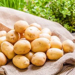 Сбор и хранение урожая - как правильно собирать и хранить урожай