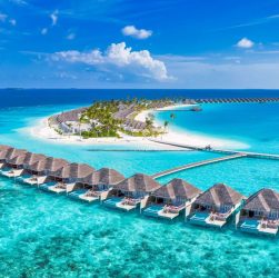 SEO для nichetravel