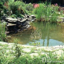 Создание пруда в саду - выбор места, гидроизоляция, посадка растений