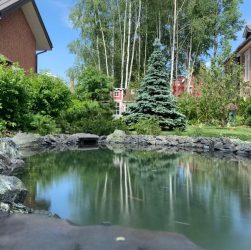 Создание ручья в саду - как создать красивый и функциональный ручей