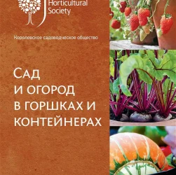 Создание сада в контейнерах - выращивание растений в горшках и контейнерах