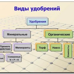 Удобрения для сада и огорода - виды удобрений, применение