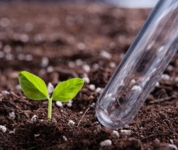 Удобрения для сада и огорода - виды удобрений, применение