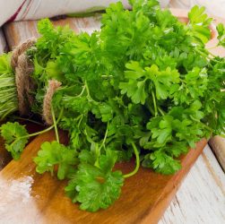 Выращивание зелени - петрушка, укроп, кинза, салат, базилик, мята